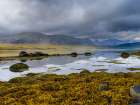 Iceland. Landscape in Dyrafjordur during autumn. Art Print